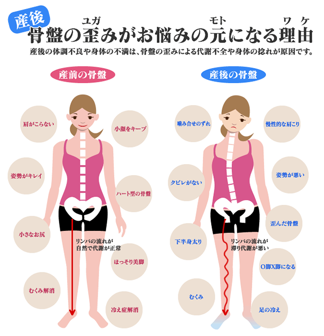産後骨盤の歪(ゆが)みがお悩みの元(もと)になる理由(わけ)・・・産後の体調不良や身体の不満は、骨盤の歪みによる代謝不全や身体の捻れが原因です。